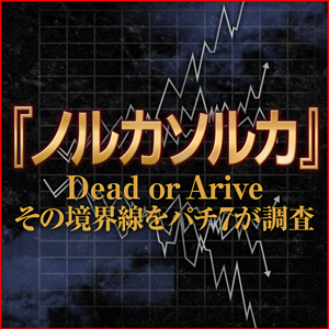 ノルカソルカ取材